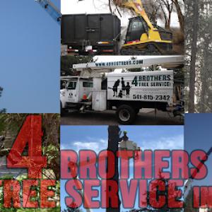 4 Brothers Tree Service
