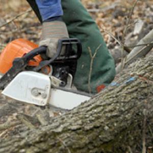 Kenny's Tree Service