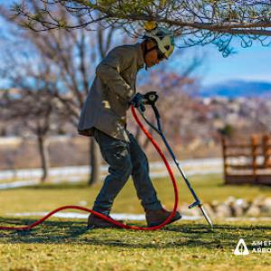 American Arborists Tree Service