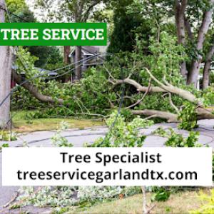 S&S Tree Service