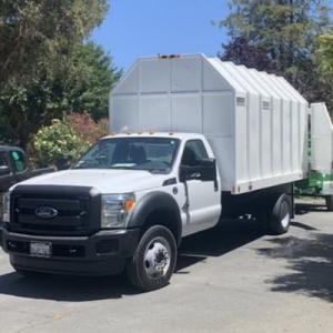 Flores Tree & Landscape