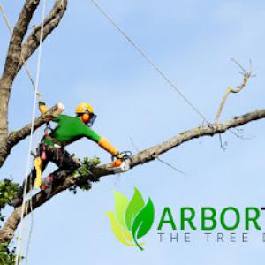 Arbor Tech