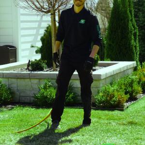 All Green Pest Control & Lawn Care