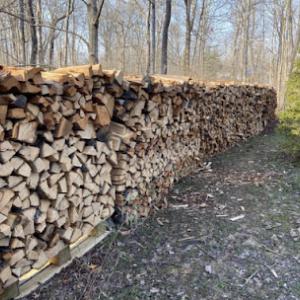 Branch Tree services