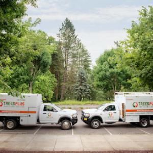 Trees Plus Northwest