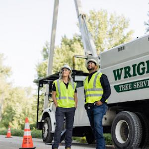 Wright Tree Service