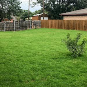 Copperhead lawn care