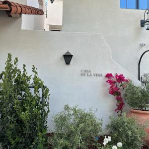 Salinas Landscape