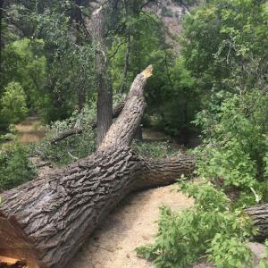 Very Good Tree Service