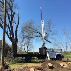 Michael's Tree Service of the Upstate, LLC. 24 Hour Emergency Service