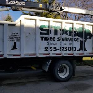 Star Tree Service