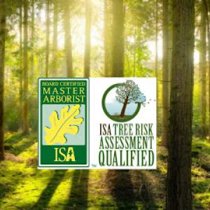 Coughlin Tree Service