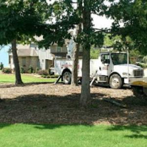 Wilson's Tree Service