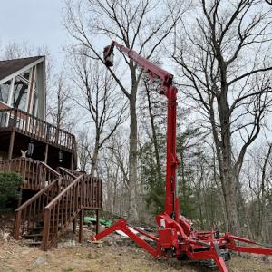 Patriot Tree Service