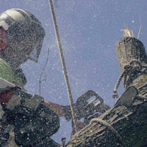 Arbor Elite Tree Service