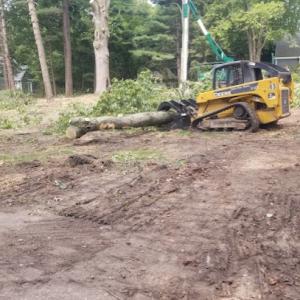 A Halls Tree Service Company