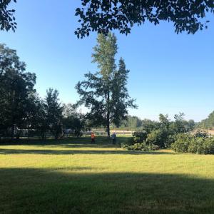 Allen's Tree Service