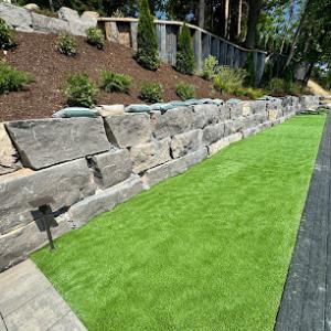 Mr Bill's Land Tree Snow