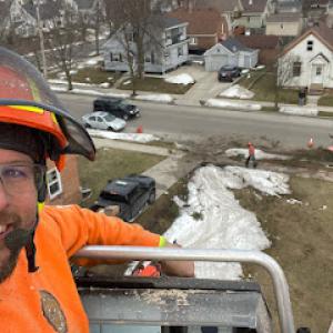 Stangel’s Tree Service