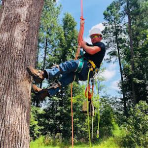 Rice's Outdoor Services