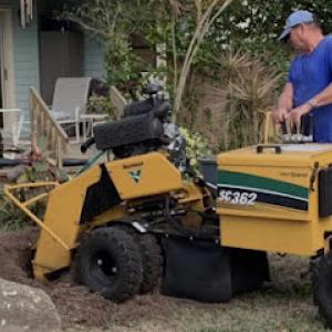 Big Dawg Tree Service & Stump Grinding