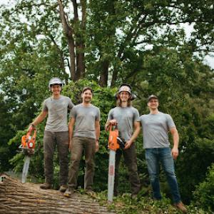Hyland Arborists