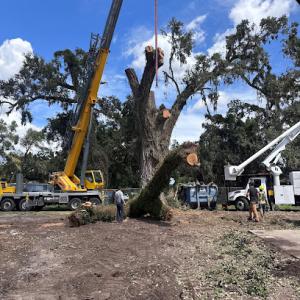 FHG Tree Service