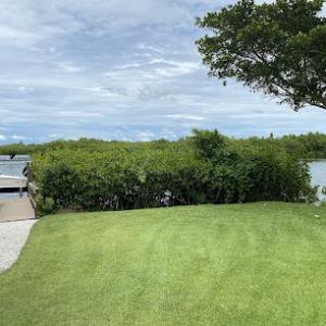 Polk's Tree & Lawn Service