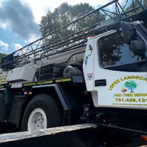 Lopez Landscaping & Tree Service