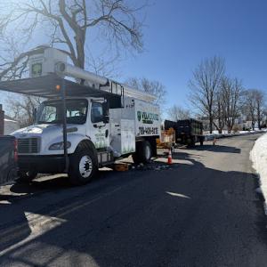 Velasquez Tree Service