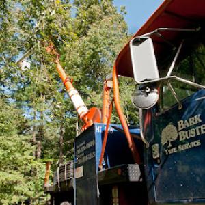 Bark Busters Tree Services