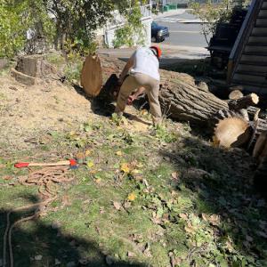 Liebermann Tree Service