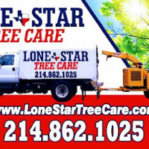 Lone Star Tree Care