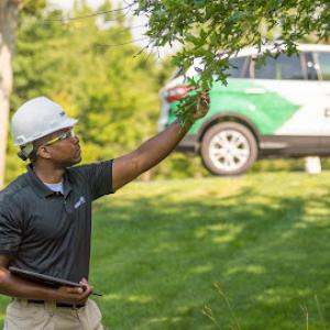 The Davey Tree Expert Company