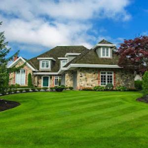 Rene & Sons Landscaping