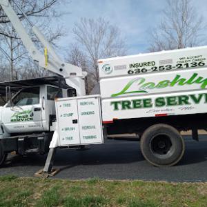 L. Lashly Tree Service