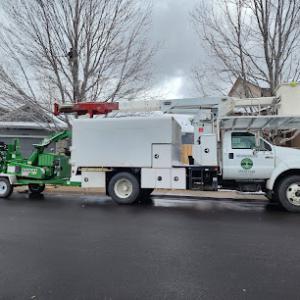 Neighborhood Arbor Care