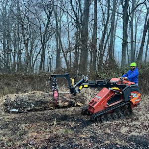 Fly With Freedom Tree Service