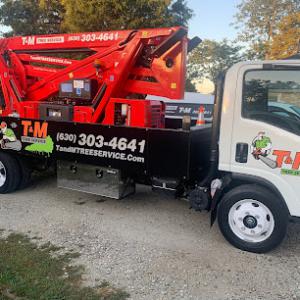T & M Tree Service