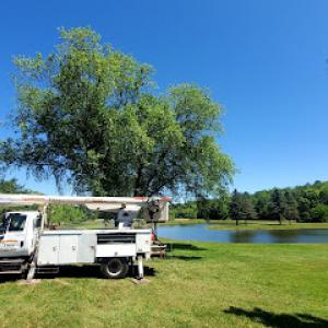 Lynn Randolph Tree&Lawncare