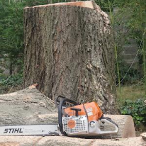 Chop & Chip Tree Service