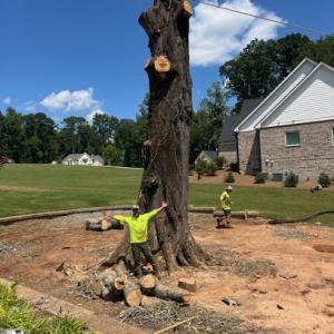 Oconee Tree Service