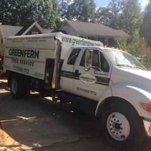 Green Fern Tree Service
