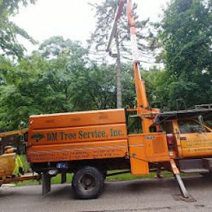 DM Tree Service