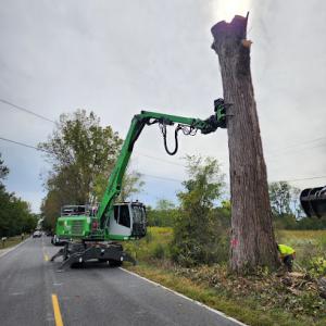 Amstutz Tree Service