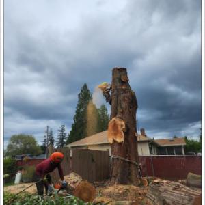 JL Tree & Landscaping