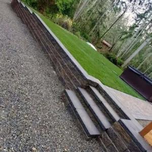 Dream Green Landscapes