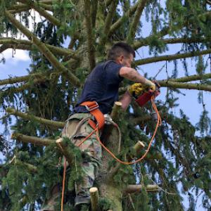 J & B Tree Services