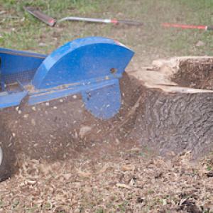 Summerall's Environmental