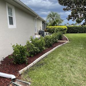 Sonshine Tree Removal & Landscaping